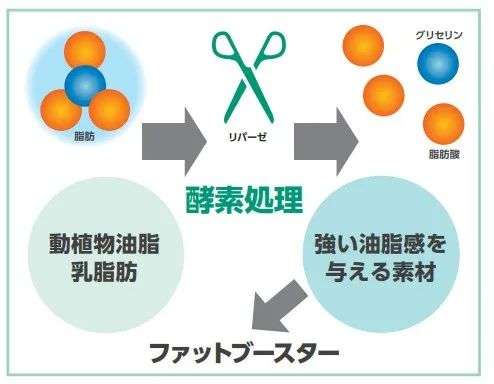 透過日本食品機(jī)械原輔料大賞，看底層技術(shù)如何推動產(chǎn)業(yè)前行